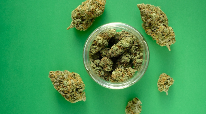 How To Choose The Perfect Cannabis Strain
