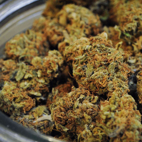 Cannabis flower in a jar.