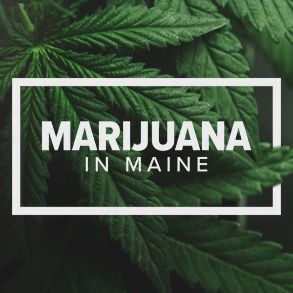 Marijuana in Maine